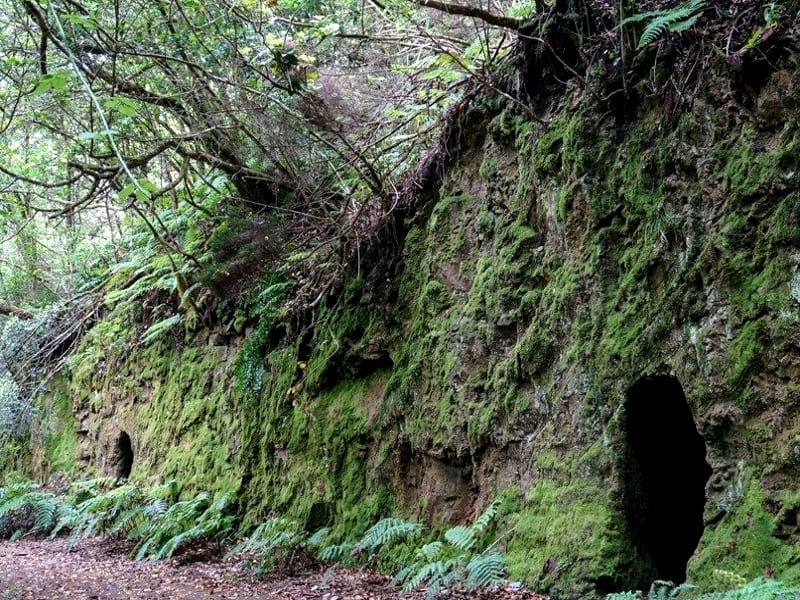 Gf Victoria El Bosque Encantado Cuevas